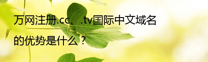 万网注册.cc、.tv国际中文域名的优势是什么？