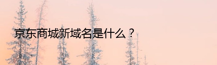 京东商城新域名是什么？