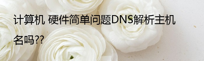 计算机 硬件简单问题DNS解析主机名吗??