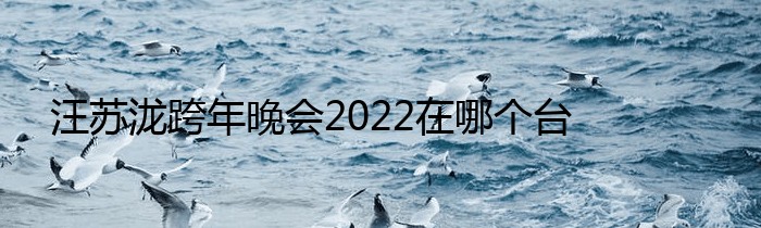汪苏泷跨年晚会2022在哪个台