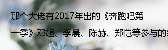 那个大佬有2017年出的《奔跑吧第一季》邓超、李晨、陈赫、郑恺等参与的综艺百度云资源