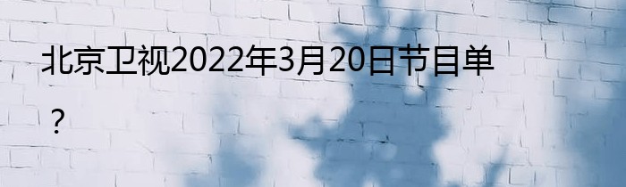 北京卫视2022年3月20日节目单？