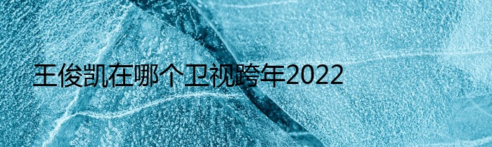 王俊凯在哪个卫视跨年2022