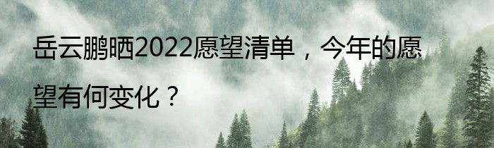 岳云鹏晒2022愿望清单，今年的愿望有何变化？