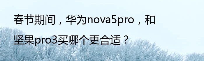 春节期间，华为nova5pro，和坚果pro3买哪个更合适？