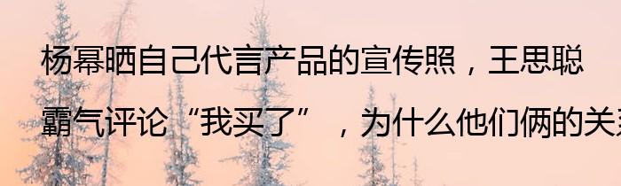 杨幂晒自己代言产品的宣传照，王思聪霸气评论“我买了”，为什么他们俩的关系这么好？
