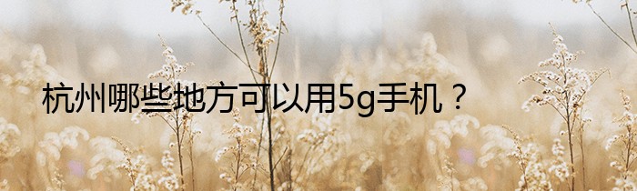杭州哪些地方可以用5g手机？