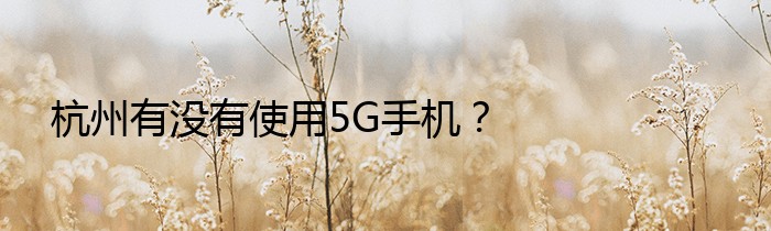 杭州有没有使用5G手机？