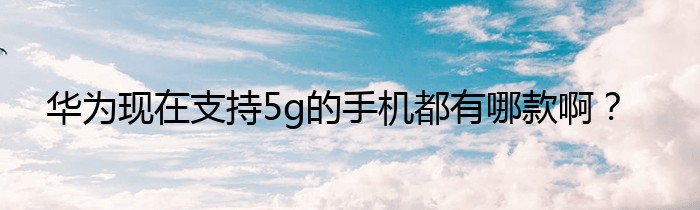 华为现在支持5g的手机都有哪款啊？