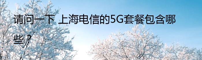 请问一下 上海电信的5G套餐包含哪些？