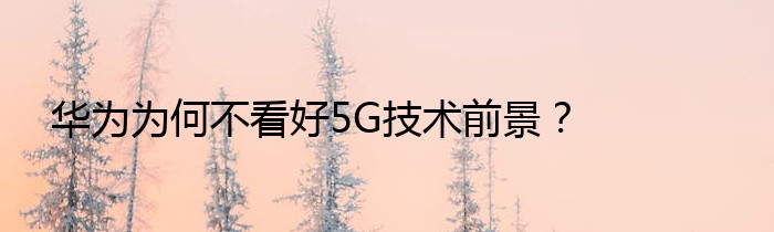 华为为何不看好5G技术前景？