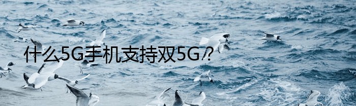 什么5G手机支持双5G？