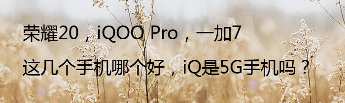 荣耀20，iQOO Pro，一加7这几个手机哪个好，iQ是5G手机吗？