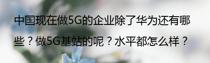 中国现在做5G的企业除了华为还有哪些？做5G基站的呢？水平都怎么样？