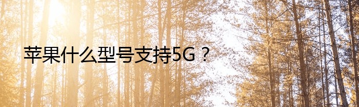 苹果什么型号支持5G？